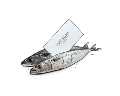 identit&eacute; visuelle POISSONS